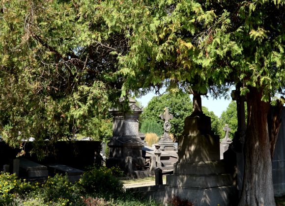 IMG_2060 v2 VISITE GUIDÉE DU CIMETIÈRE – 8 & 9 NOVEMBRE
